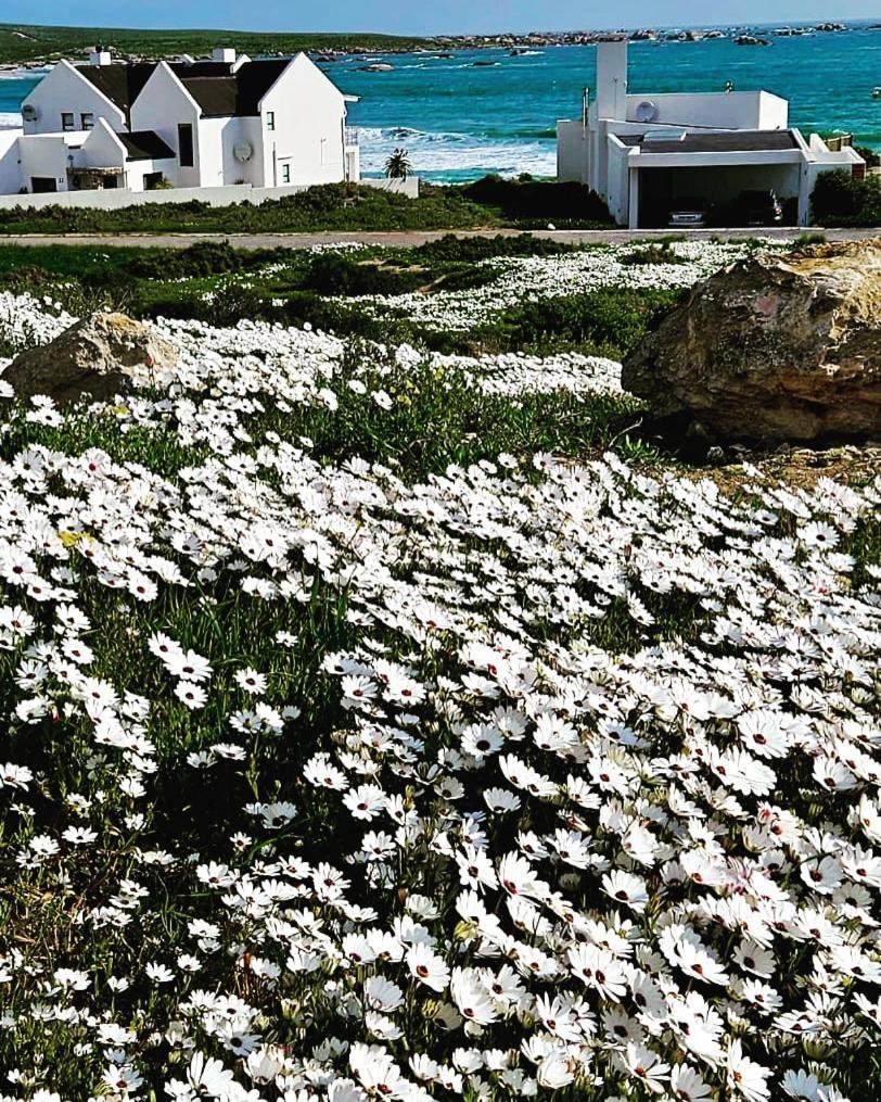 Sonkwas 10 Vila Paternoster Exterior foto